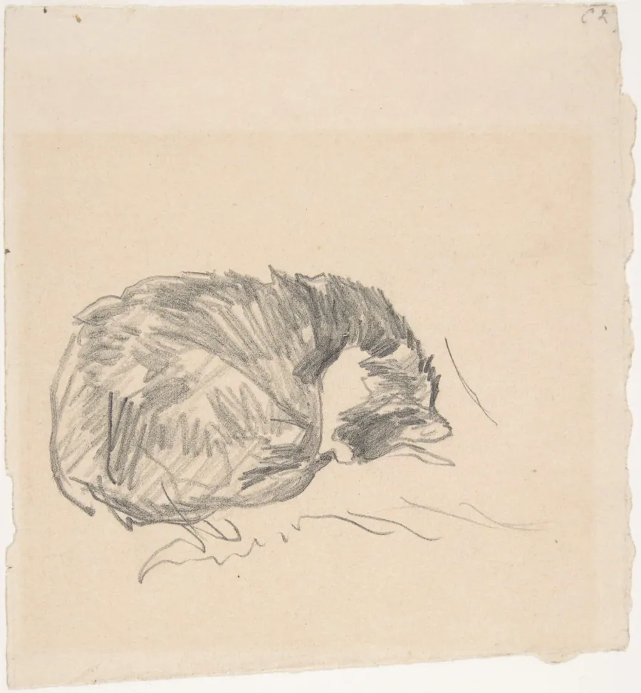 A Cat Curled Up, Sleeping by Edouard Manet