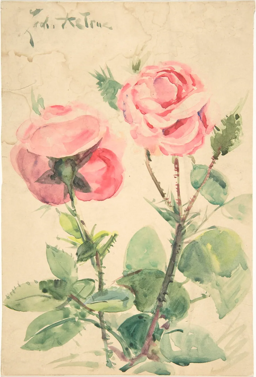 Two Roses by Zacharie Astruc