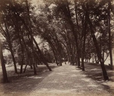 Picnic Grounds