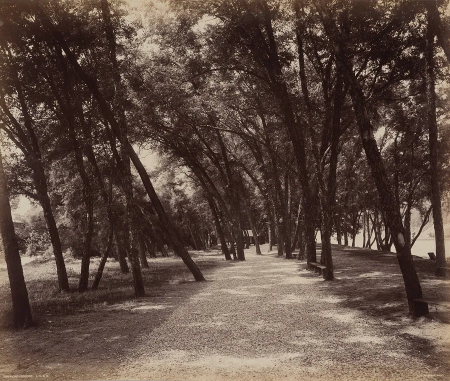 Picnic Grounds by William H. Rau