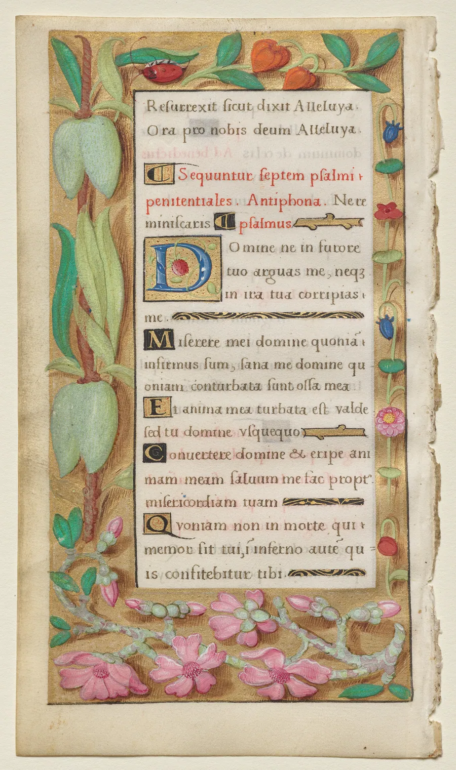 Leaf from a Book of Hours: Penitential Psalms by Noël Bellemare