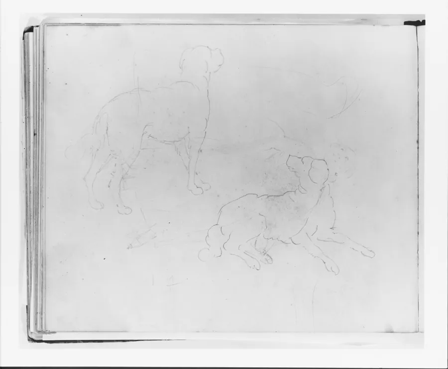 Two Studies of a Dog: Three Quarter Rear View Standing; Lying Down (from Sketchbook) by Francis William Edmonds