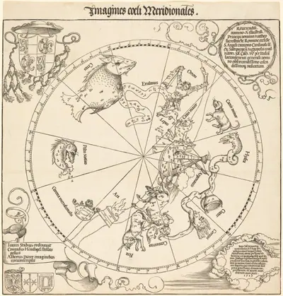 The Southern Celestial Hemisphere