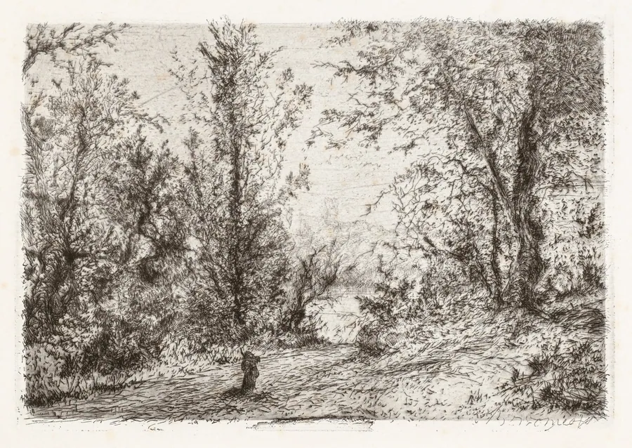 Forest on Lago Maggiore [Foresta sul Lago Maggiore] by Giberto Borromeo