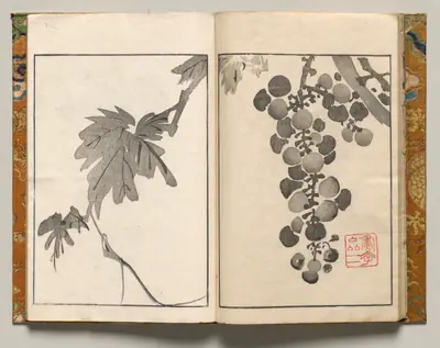 Grapevine, Design Ten from Shazanrō Picture Book