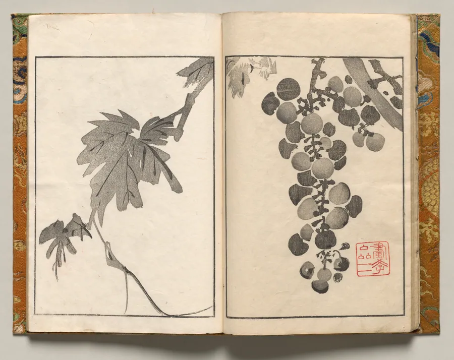 Grapevine, Design Ten from Shazanrō Picture Book by Tani Bunchō