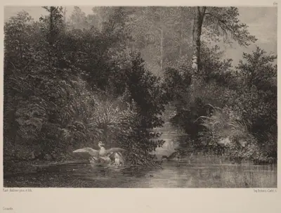 Canards