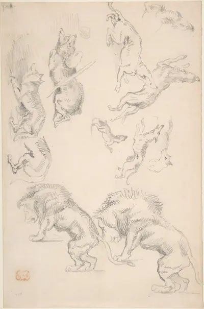 Studies of Animals
