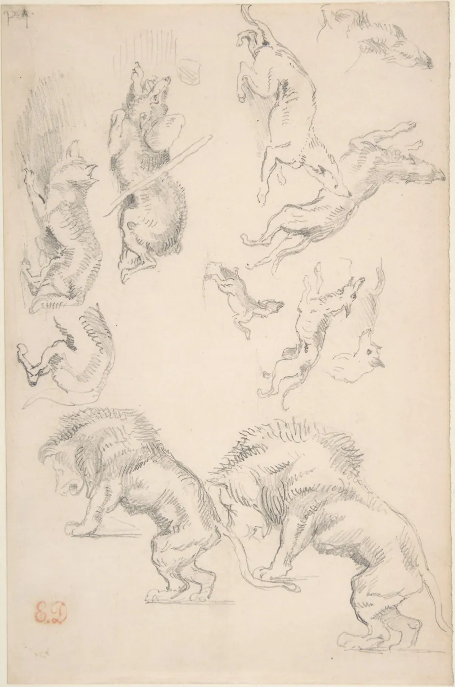 Studies of Animals by Eugène Delacroix