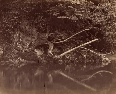 River Bank in the Vale of Neath