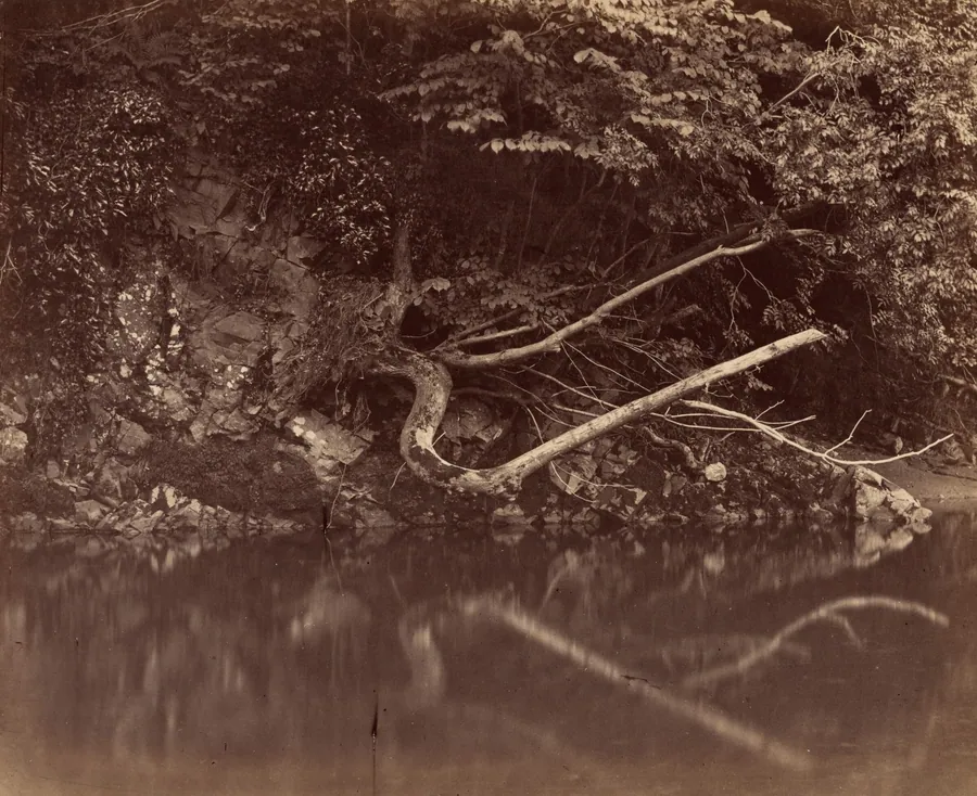 River Bank in the Vale of Neath by G.B. Gething