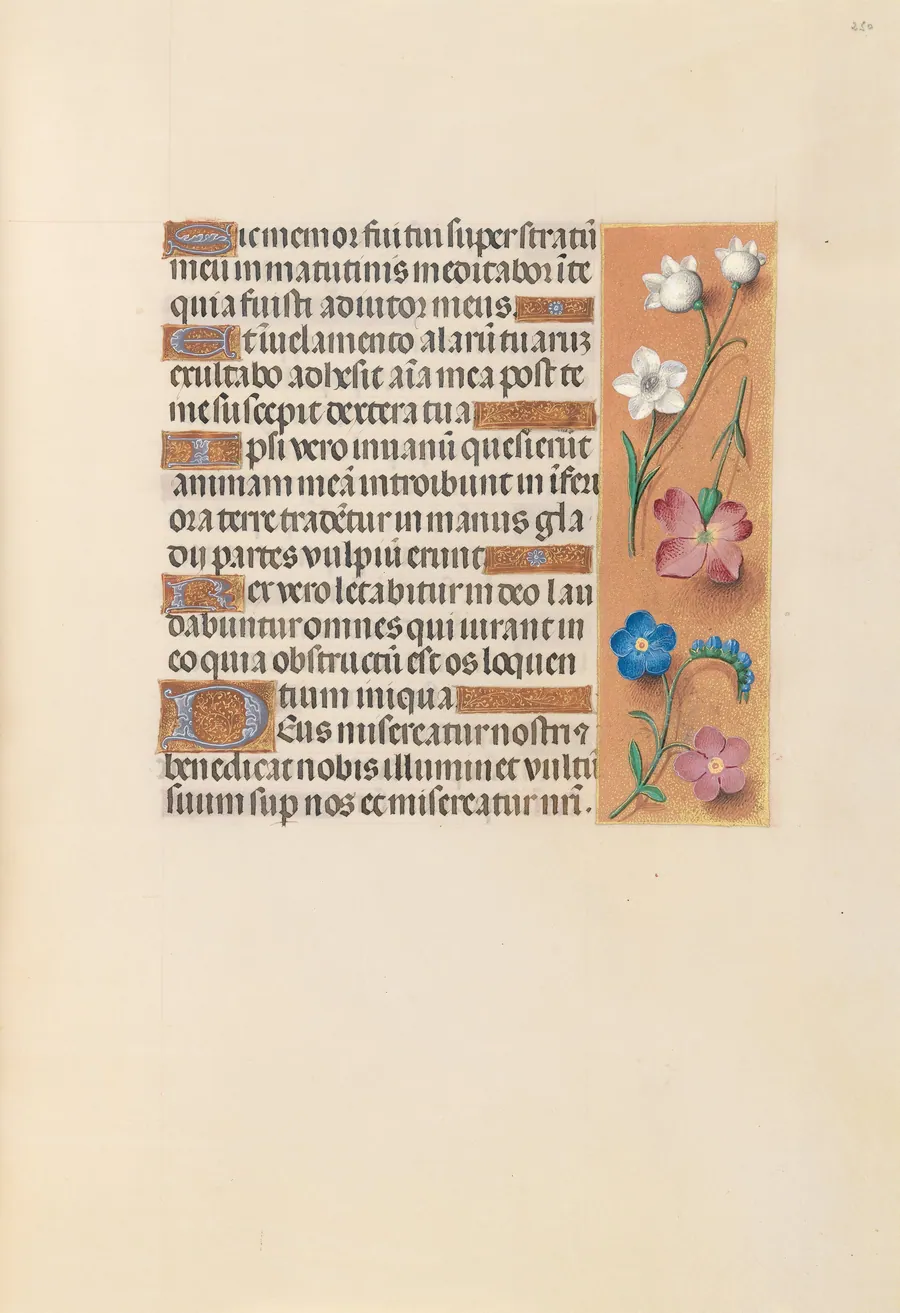 Hours of Queen Isabella the Catholic, Queen of Spain:  Fol. 250r by Master of the First Prayerbook of Maximillian
