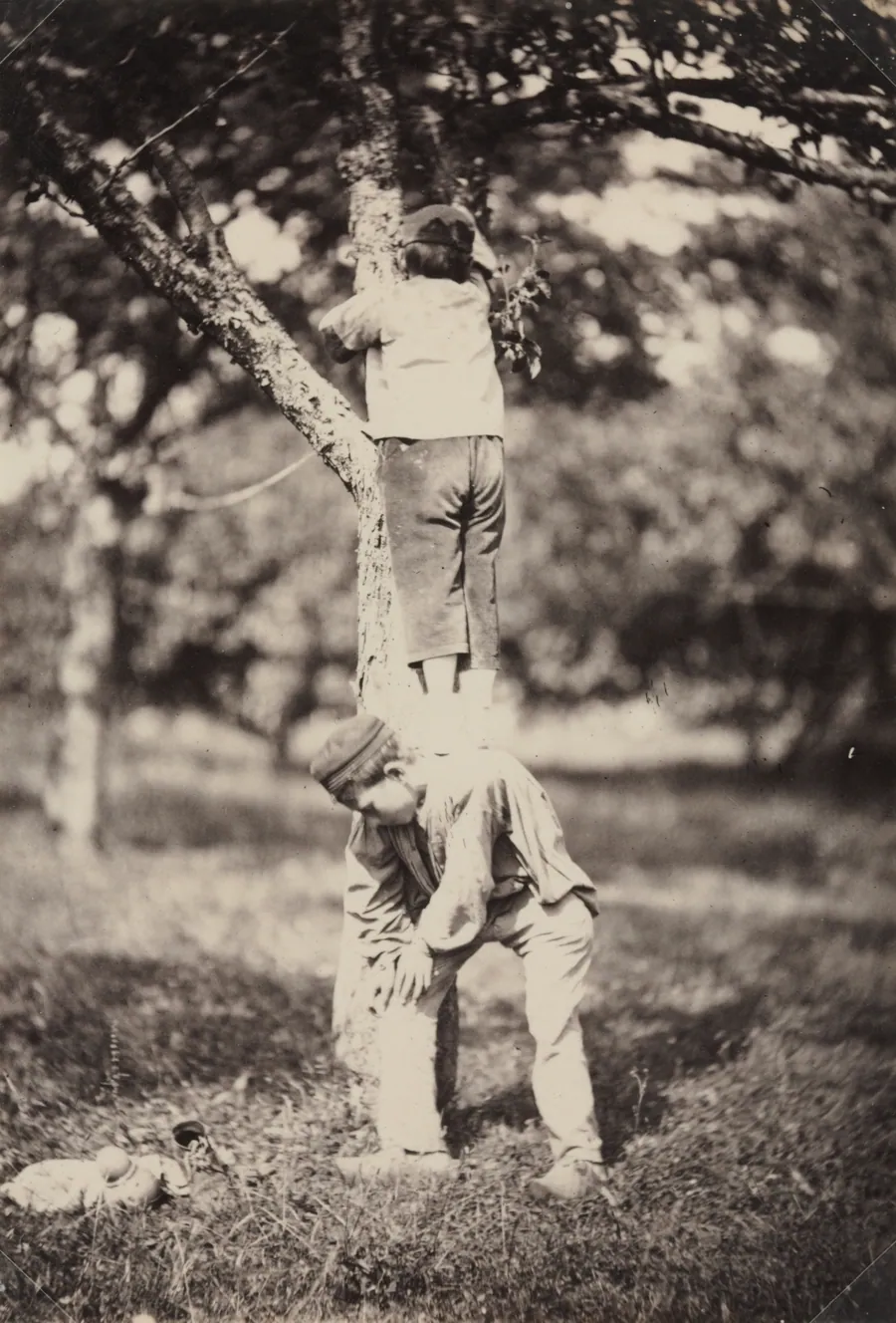 French Country Study: Two Boys Climbing a Tree by Auguste Giraudon's Artist