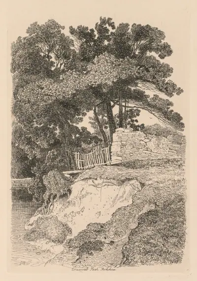 Liber Studiorum: Plate 13, Duncomb Park, Yorkshire: No. 5