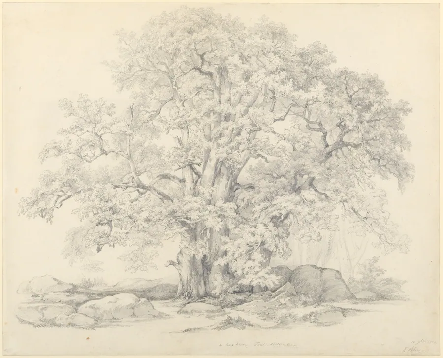 Tree and Rocks in the Forest of Fontainebleau by Eugène Stanislas Alexandre Bléry
