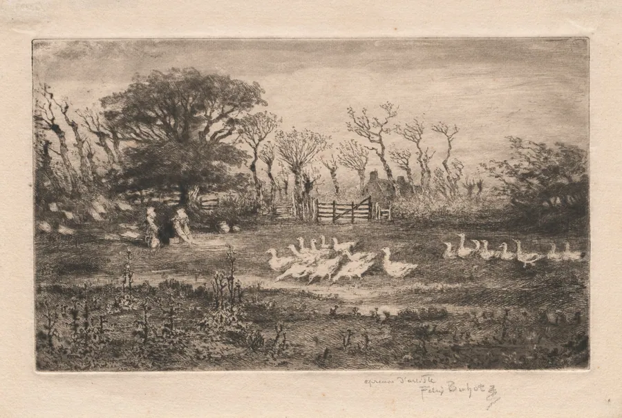 Geese by Félix Hilaire Buhot