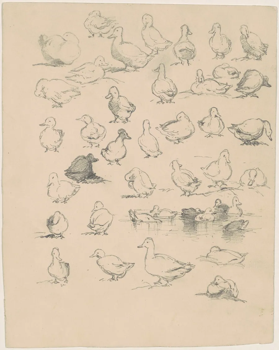 Ducks by Andrew Fisher Bunner