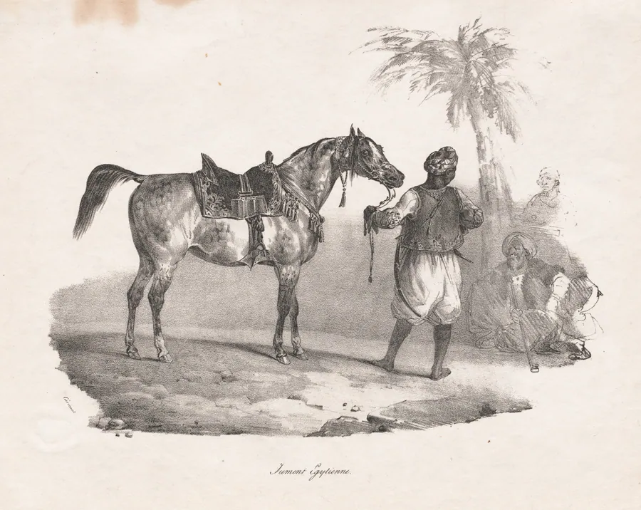 Egyptian Mare by Théodore Géricault