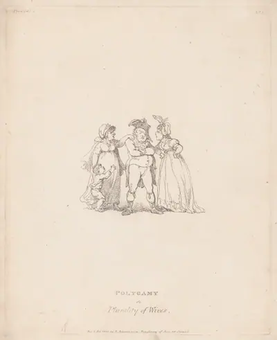 Polygamy, or Plurality of Wives