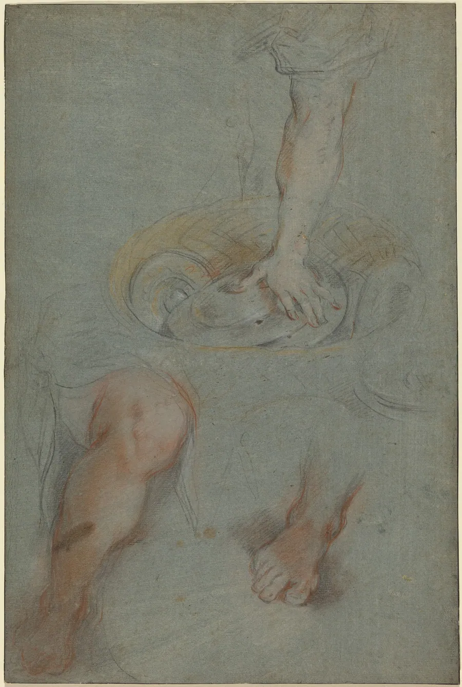 Studies for a Servant in "The Last Supper" by Federico Barocci