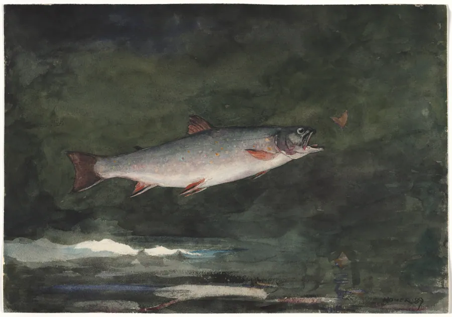 Leaping Trout by Winslow Homer