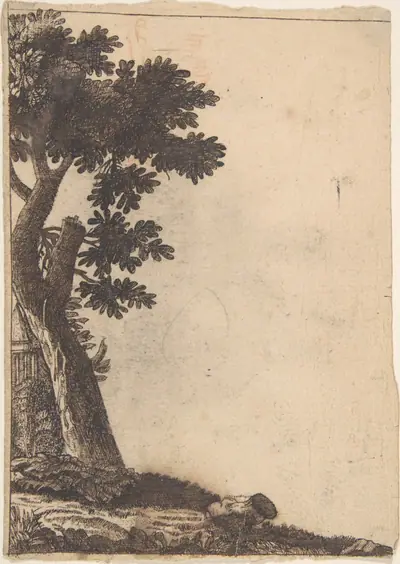 Study of a Tree