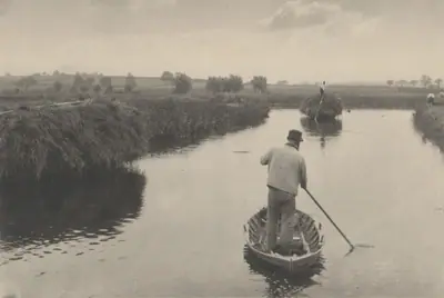 Quanting the Marsh Hay