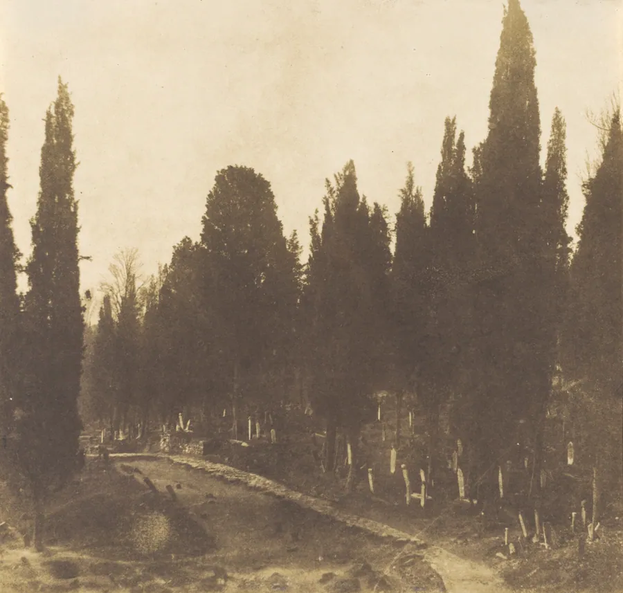Turkey: Scutari Cemetery by Ernest De Caranza