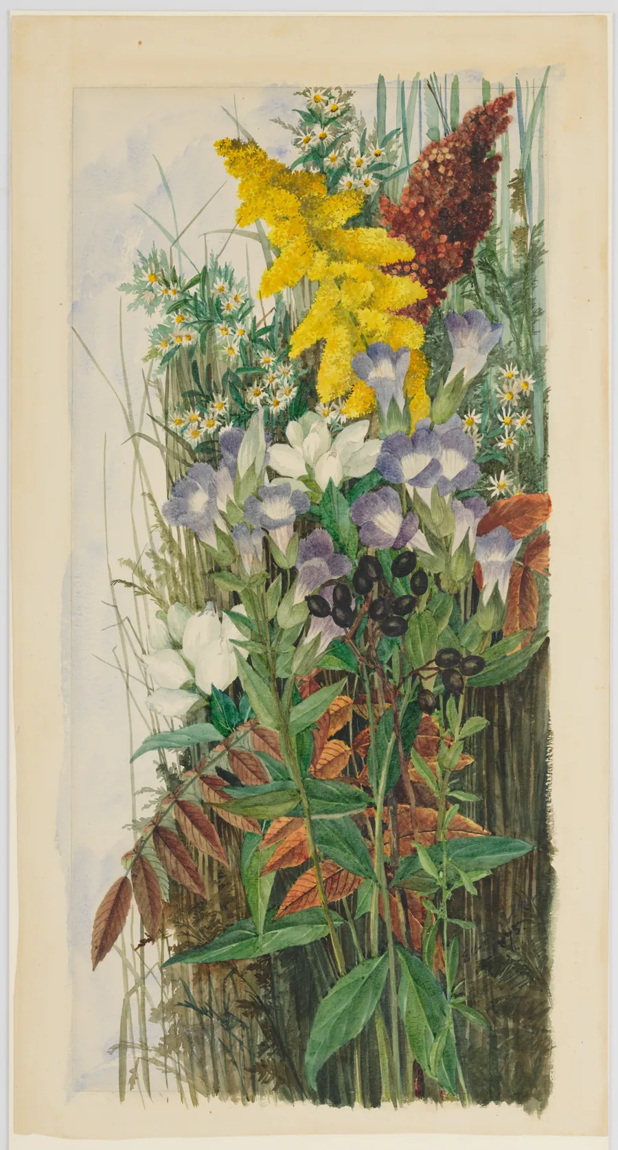 Wildflowers by Ellen Robbins