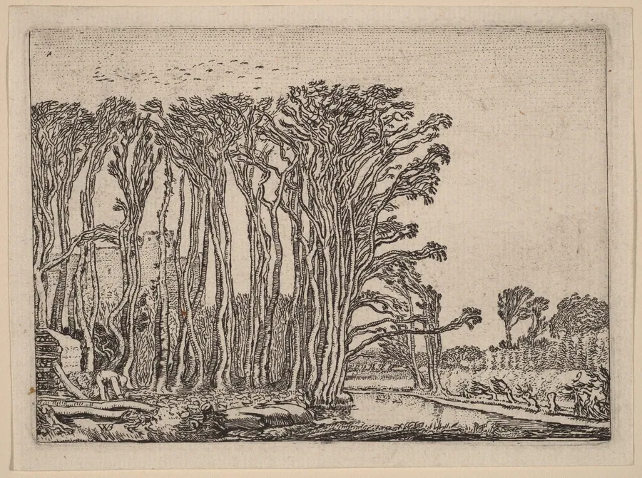 The Charcoal-Burner by Willem Buytewech