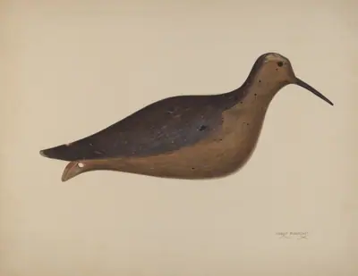 Decoy
