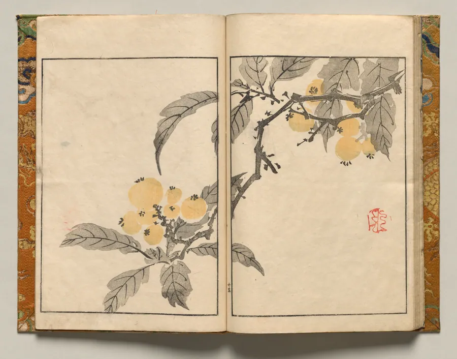 Kumquat, Design Fifteen from Shazanrō Picture Book by Tani Bunchō