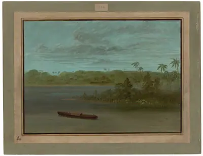 Mouth of the Rio Purus