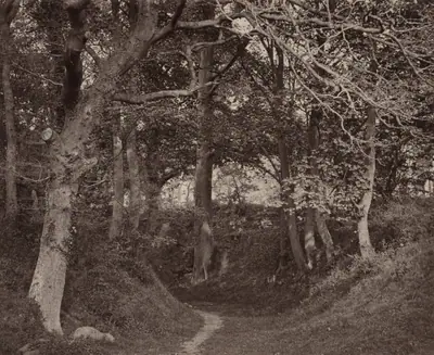 Glen Kenilworth