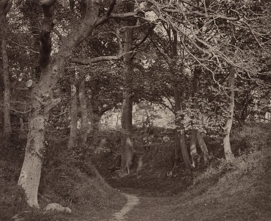 Glen Kenilworth by Francis Bedford