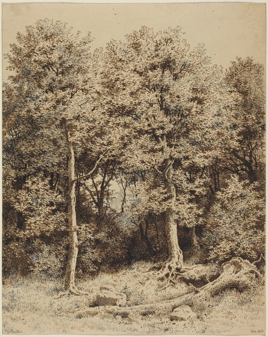 A Copse of Trees by Karl Theodor Reiffenstein