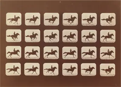 Horses. Running. Phyrne L. No. 40