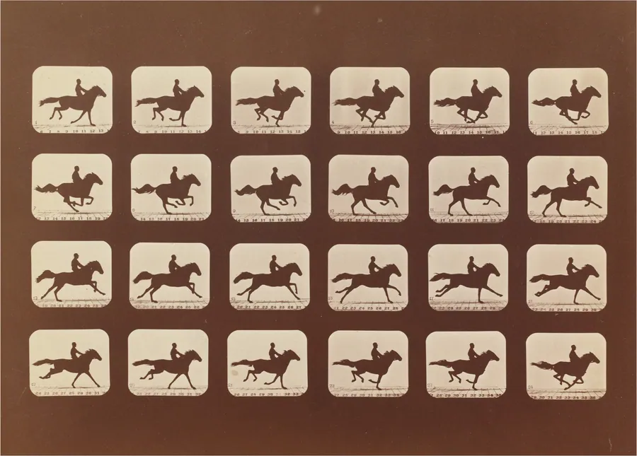 Horses. Running. Phyrne L. No. 40 by Eadweard Muybridge