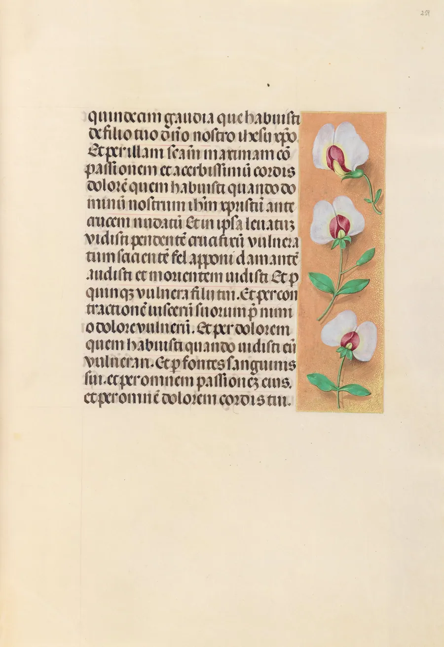 Hours of Queen Isabella the Catholic, Queen of Spain:  Fol. 259r by Master of the First Prayerbook of Maximillian