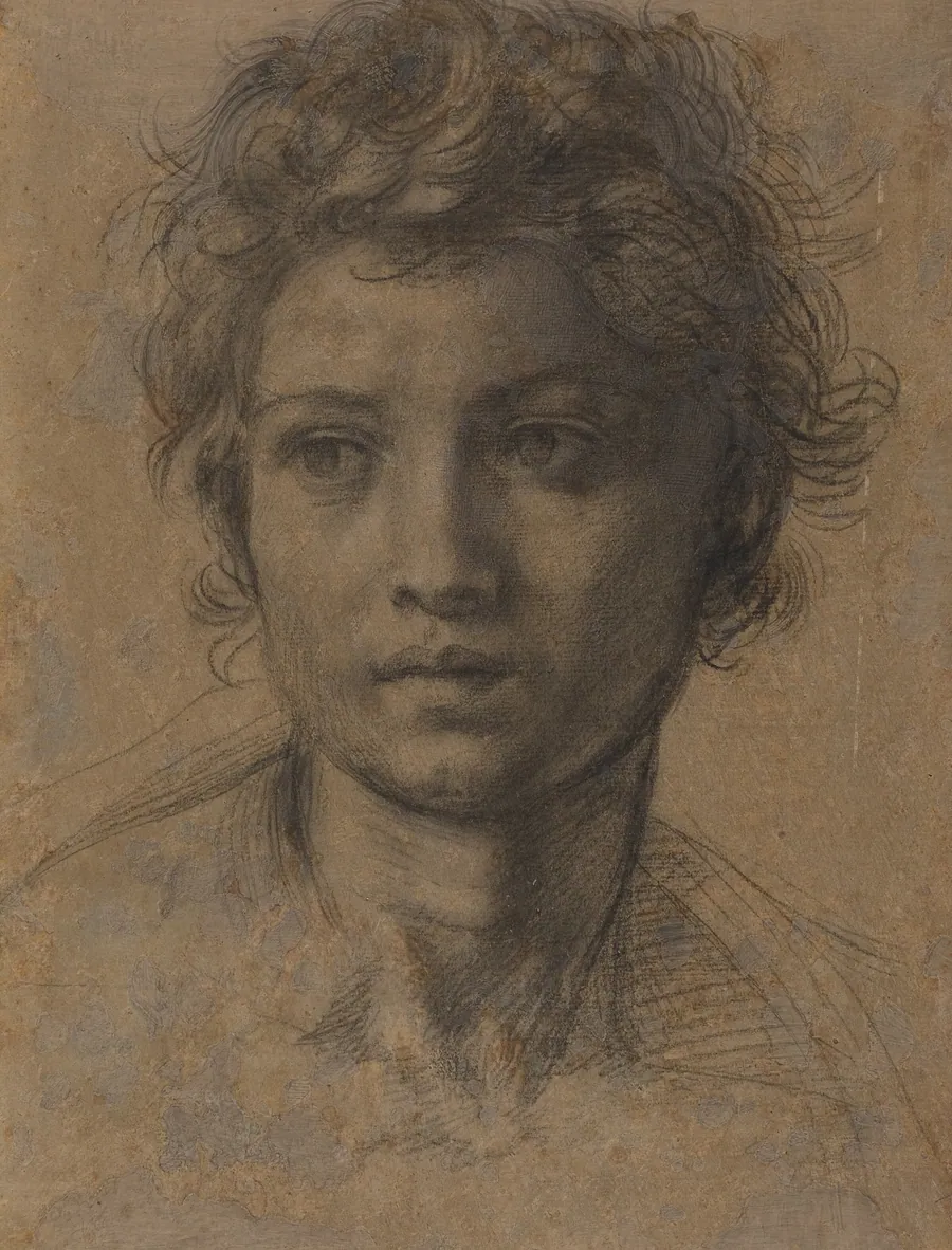Head of Saint John the Baptist by Andrea del Sarto