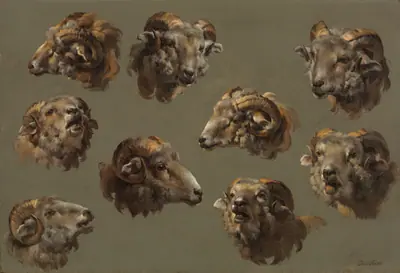 Studies of Ram Heads
