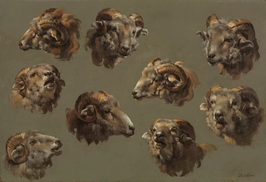 Studies of Ram Heads
