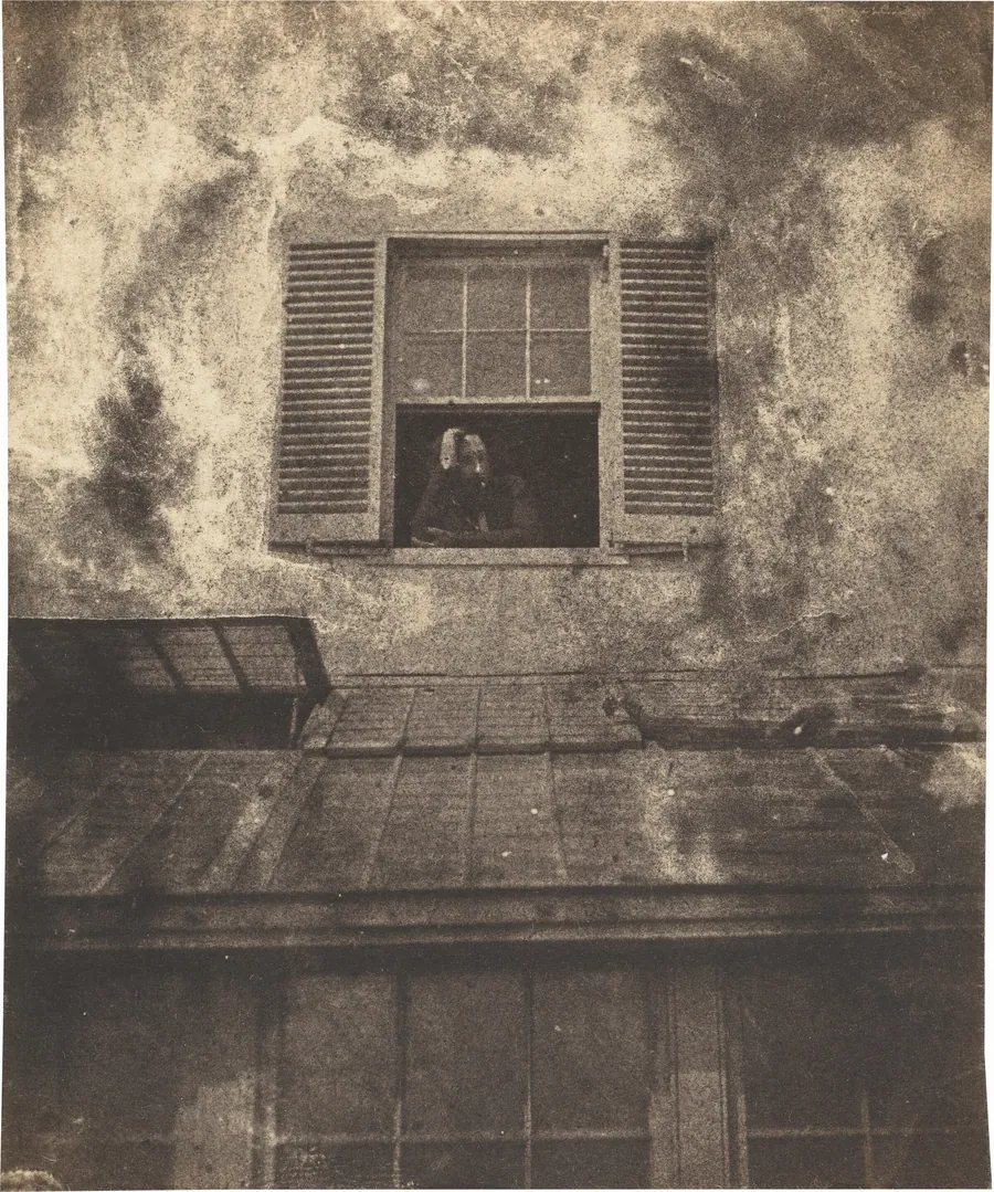 Auguste Vacquerie at a Window, Marine Terrace by Auguste Vacquerie