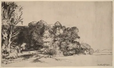 Clump of Trees with a Vista