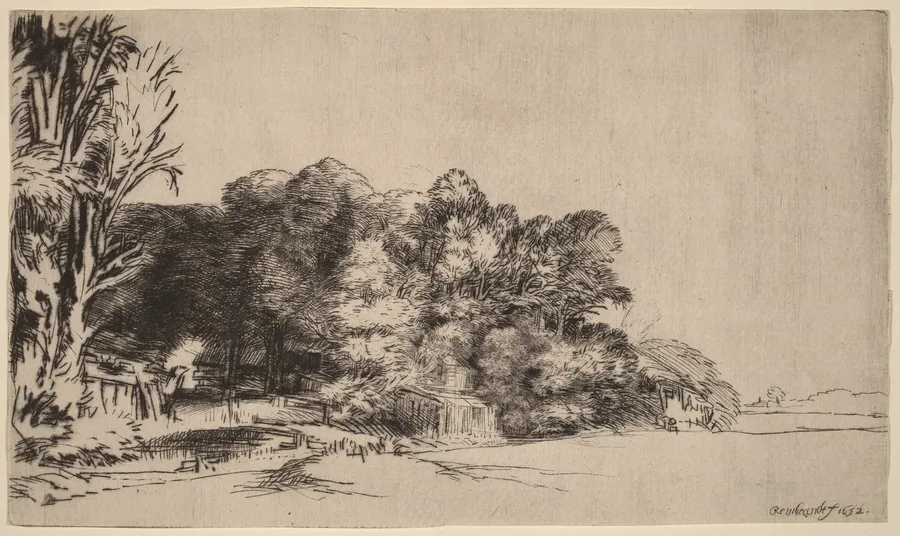 Clump of Trees with a Vista by Rembrandt van Rijn