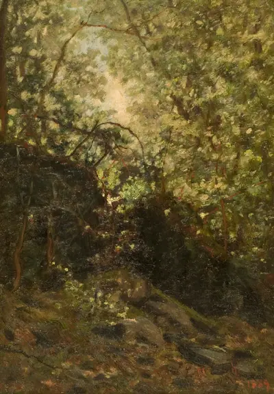 Night Through Forest