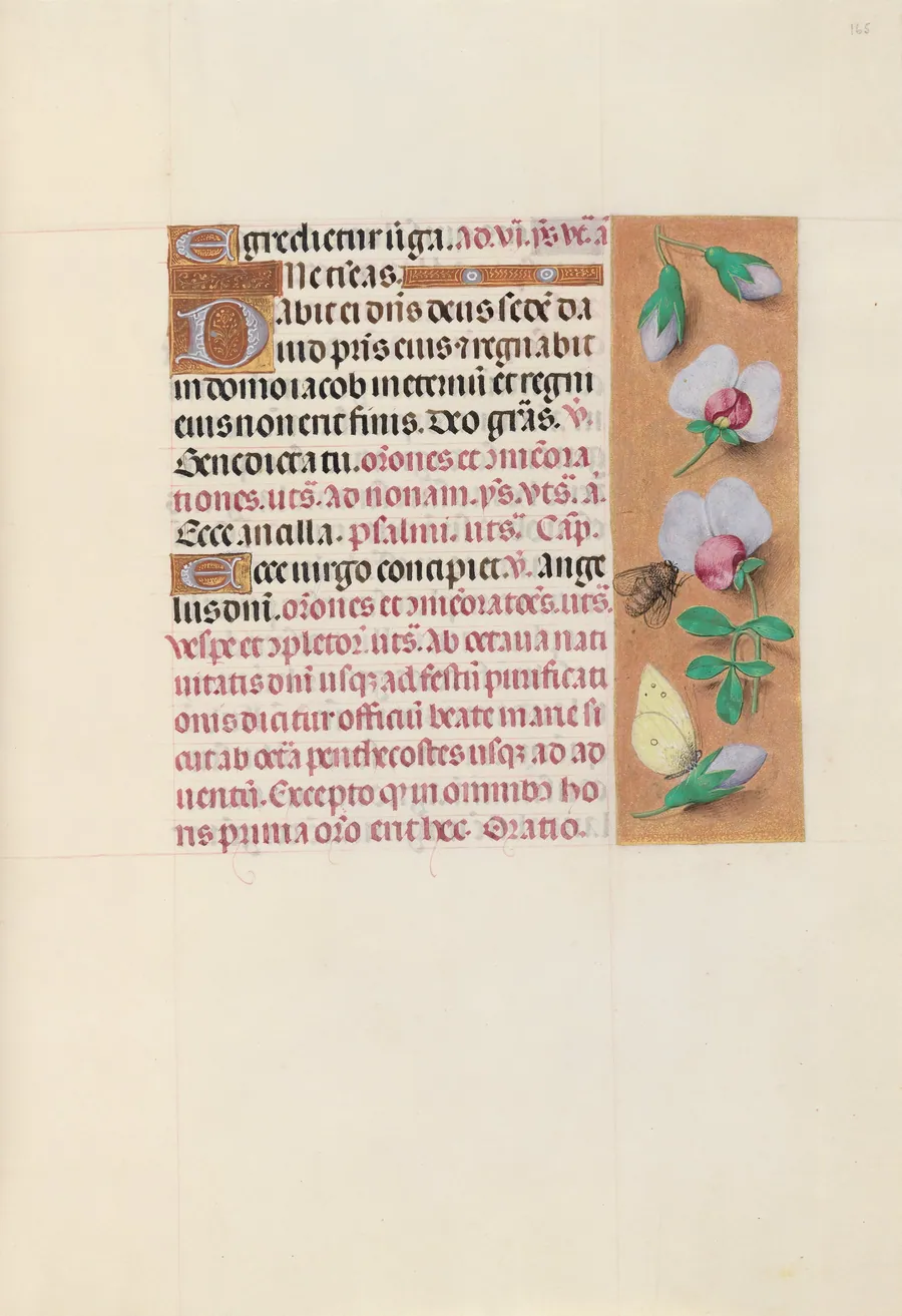 Hours of Queen Isabella the Catholic, Queen of Spain:  Fol. 165r by Master of the First Prayerbook of Maximillian