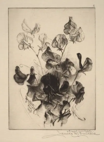 Sweet Peas