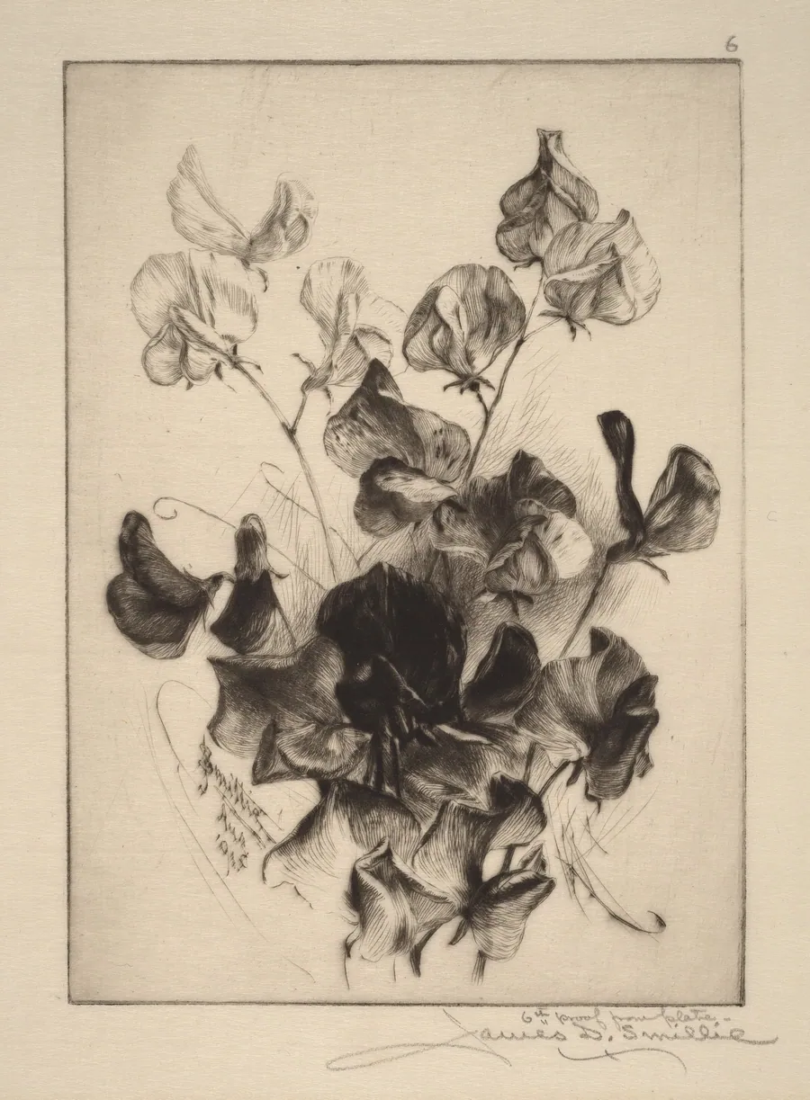 Sweet Peas by James David Smillie