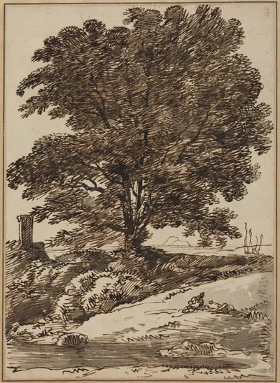 Seacoast with a Great Tree